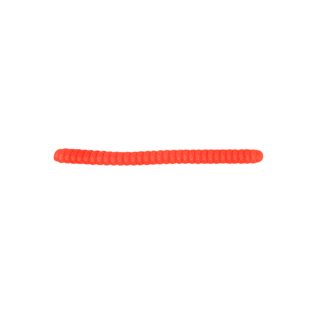 French Fry Worm